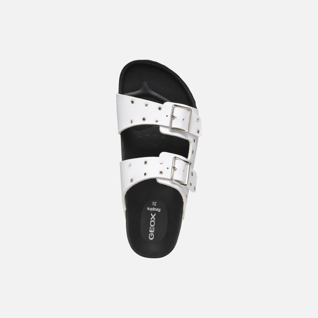 J558MJ